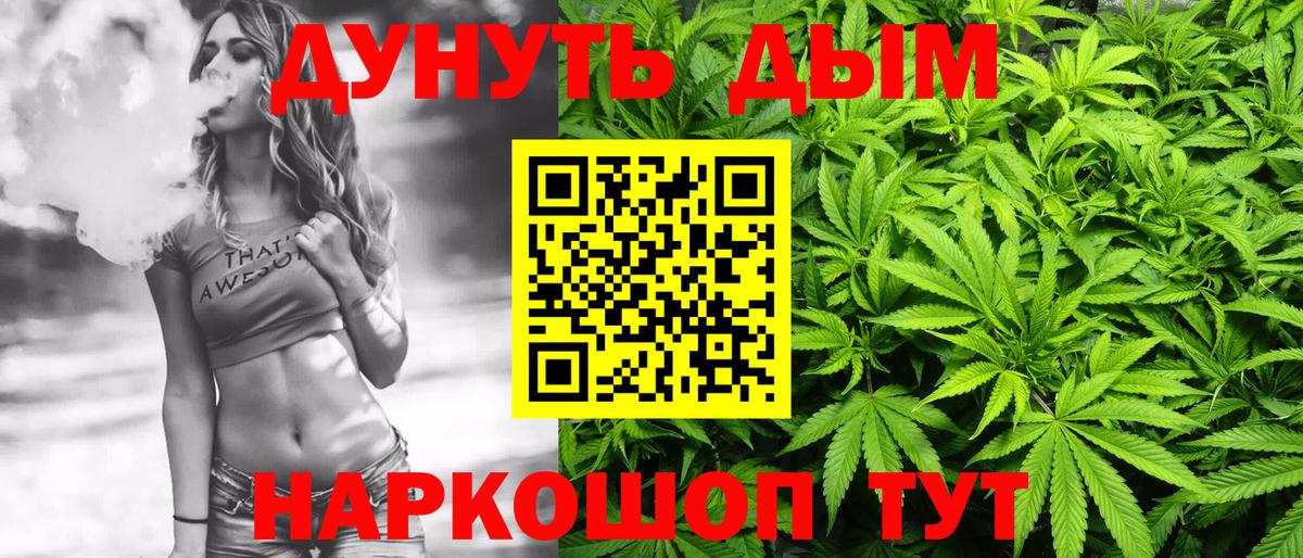 Бошки Шишки планчик Мыски